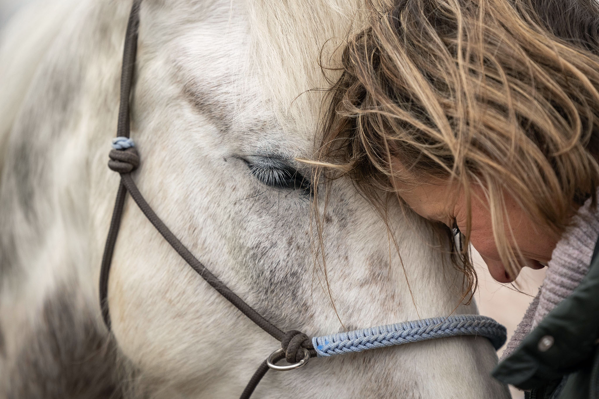 Compassionate Inquiry ist ein weg zur Verbundenheit, emotionaler Sicherheit und traumasensibler Präsenz.